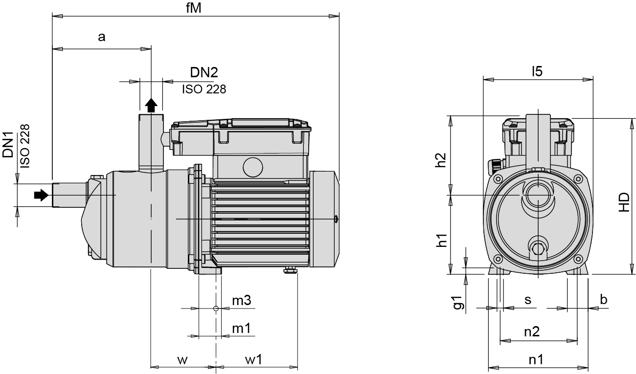 Dimensioni (mm)