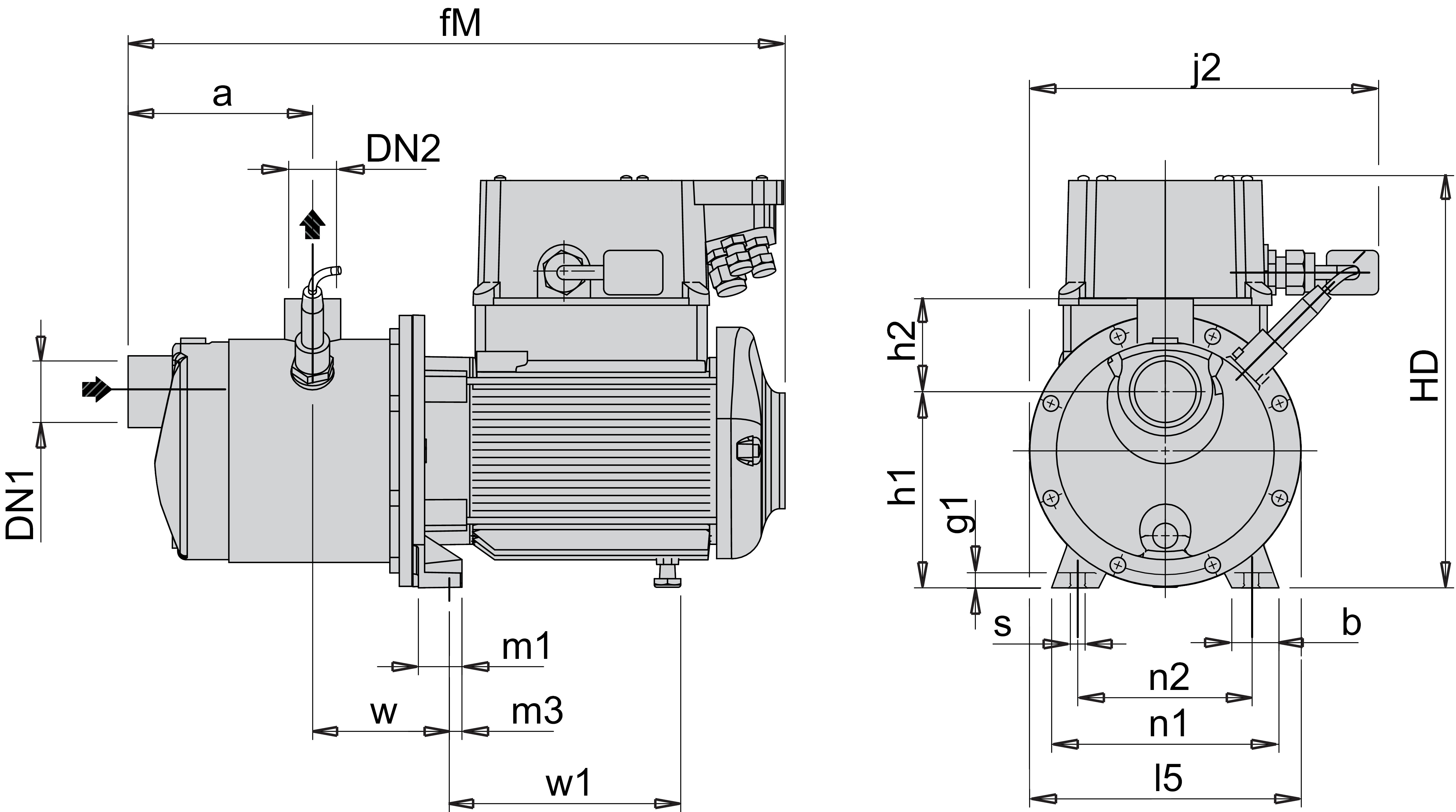 Dimensioni (mm)