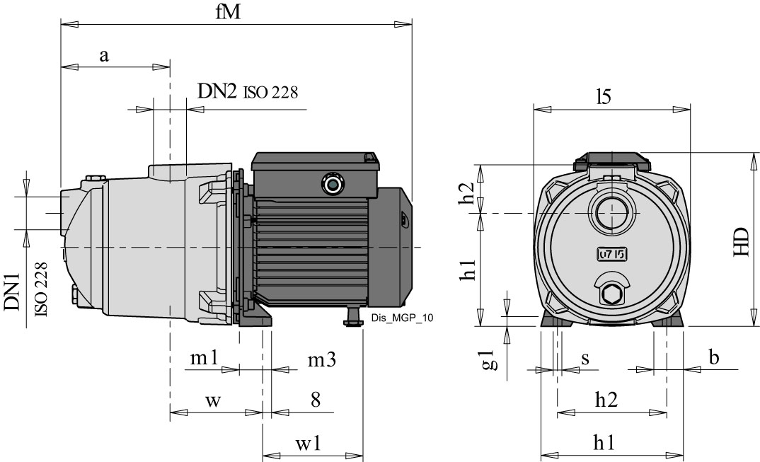 Dimensioni (mm)