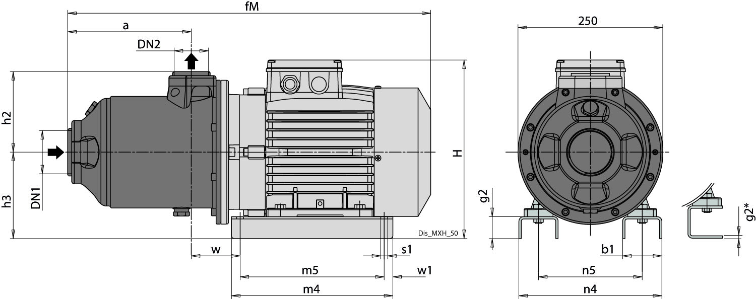 Dimensioni (mm)