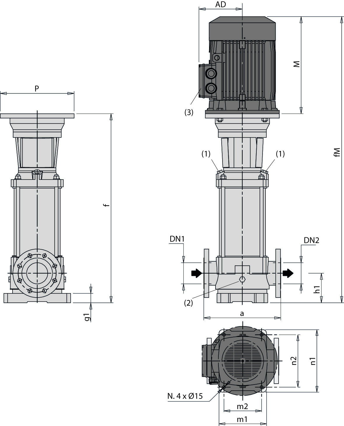 Dimensioni (mm)