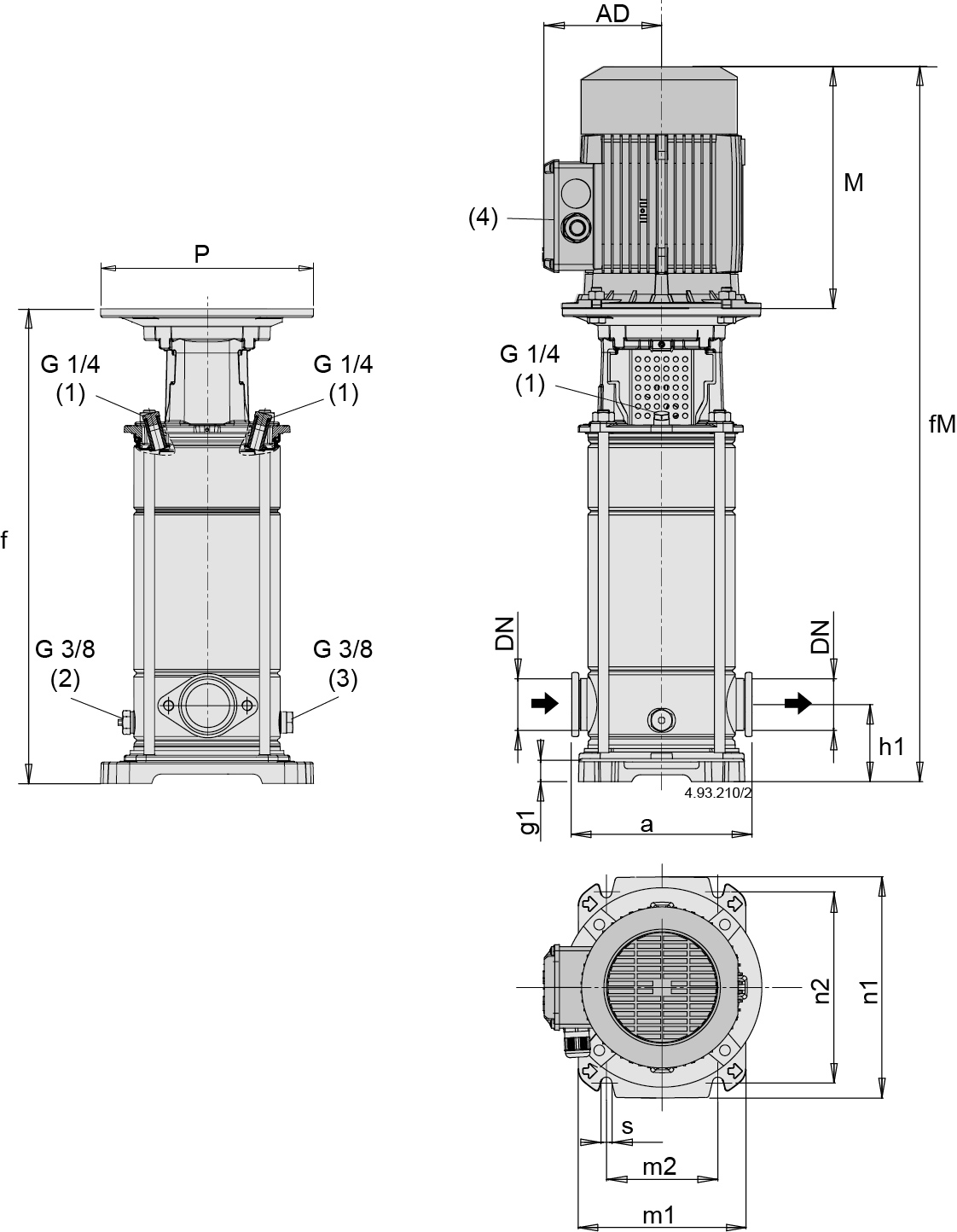 Dimensioni (mm)