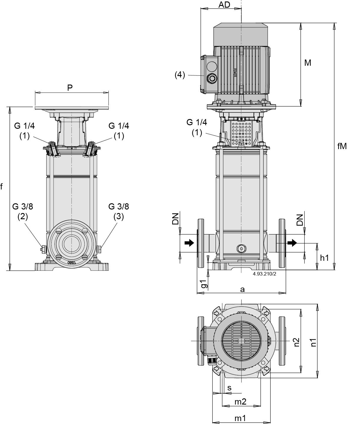 Dimensioni (mm)