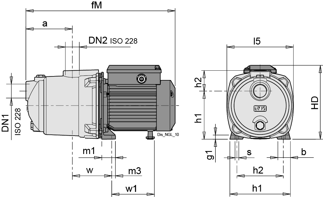 Dimensioni (mm)